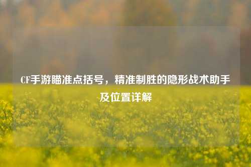 CF手游瞄准点括号，精准制胜的隐形战术助手及位置详解