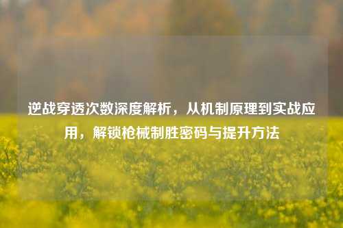 逆战穿透次数深度解析，从机制原理到实战应用，解锁     胜密码与提升     