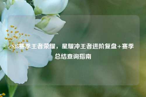 S35赛季王者荣耀，星耀冲王者进阶复盘+赛季总结查询指南