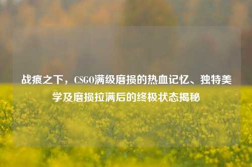战痕之下，CSGO满级磨损的热血记忆、独特美学及磨损拉满后的终极状态揭秘