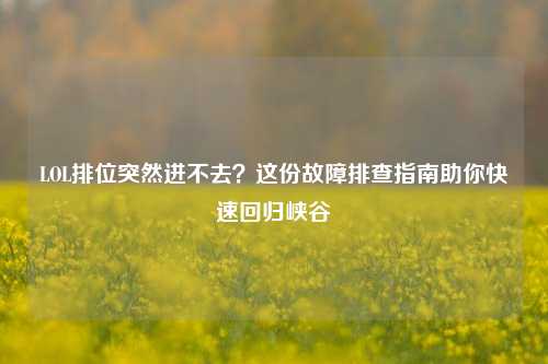LOL排位突然进不去？这份故障排查指南助你快速回归峡谷