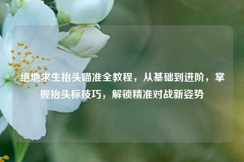 绝地求生抬头瞄准全教程，从基础到进阶，掌握抬头标技巧，解锁精准对战新姿势
