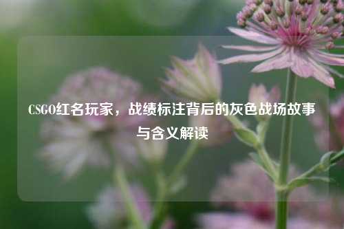 CSGO红名玩家，战绩标注背后的灰色战场故事与含义解读