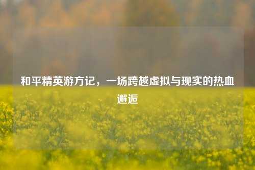 和平精英游方记，一场跨越虚拟与现实的热血邂逅