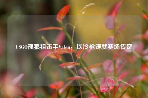 CSGO孤狼狙击手Valen，以冷枪铸就赛场传奇