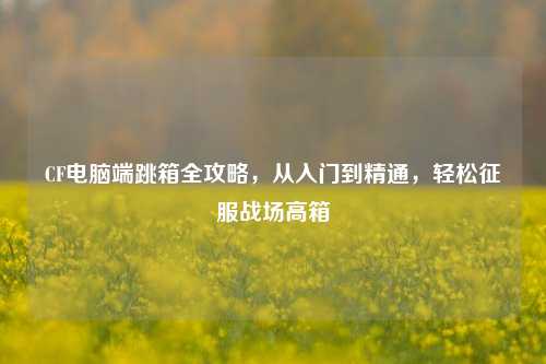 CF电脑端跳箱全攻略，从入门到精通，轻松征服战场高箱