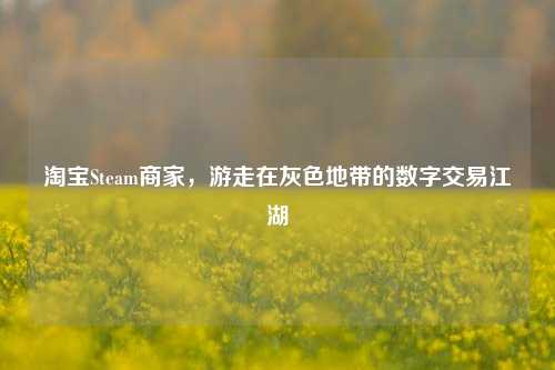      Steam商家，游走在灰色地带的数字交易江湖