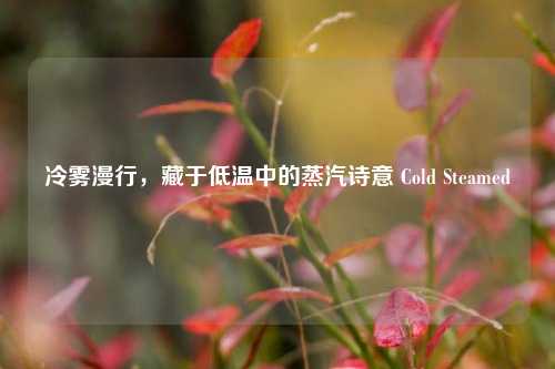冷雾漫行，藏于低温中的蒸汽诗意 Cold Steamed