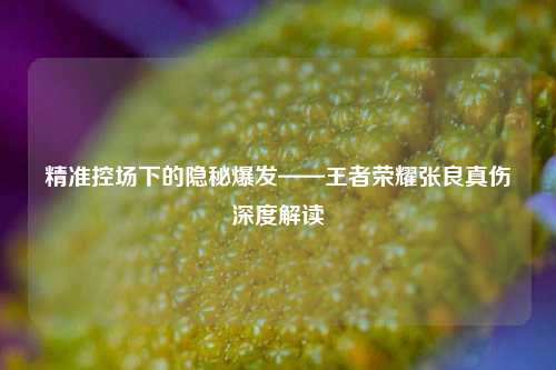 精准控场下的隐秘爆发——王者荣耀张良真伤深度解读
