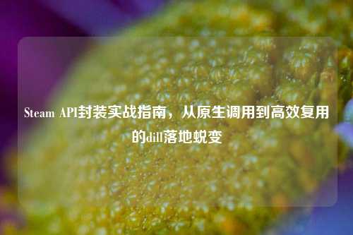 Steam API封装实战指南，从原生调用到高效复用的dill落地蜕变