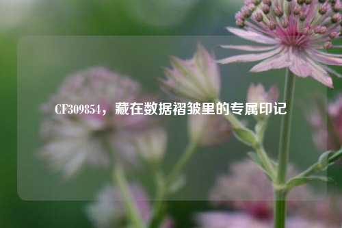 CF309854，藏在数据褶皱里的专属印记