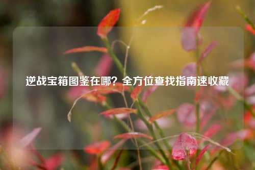 逆战宝箱图鉴在哪？全方位查找指南速收藏