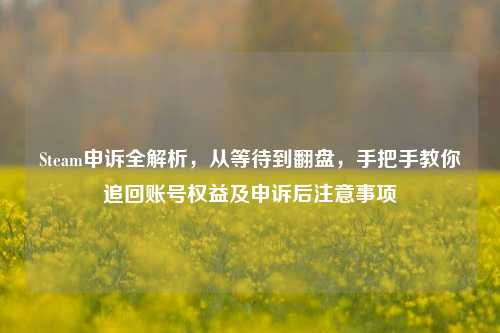 Steam申诉全解析，从等待到翻盘，手把手教你追回账号权益及申诉后注意事项