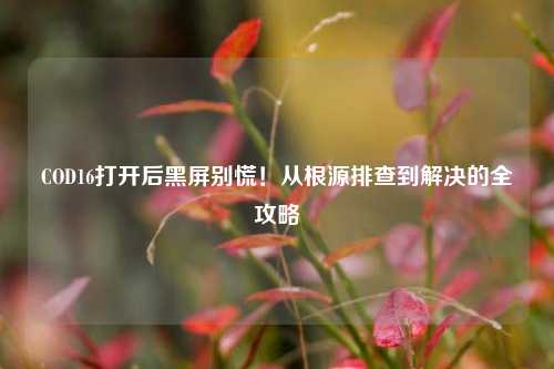 COD16打开后黑屏别慌！从根源排查到解决的全攻略