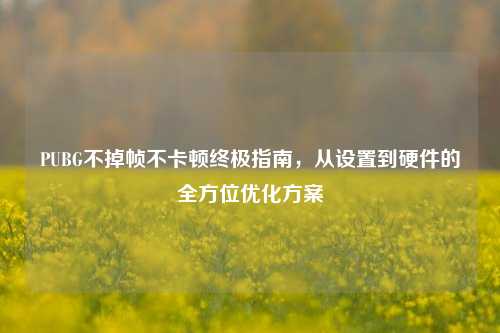 PUBG不掉帧不卡顿终极指南，从设置到硬件的全方位优化方案