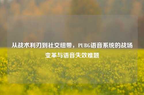 从战术利刃到社交纽带，PUBG语音系统的战场变革与语音失效难题