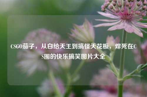 CSGO茄子，从白给天王到搞怪天花板，焊死在CS圈的快乐搞笑图片大全