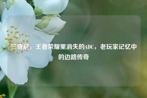 兰奇尼，王者荣耀里消失的ADC，老玩家记忆中的边路传奇