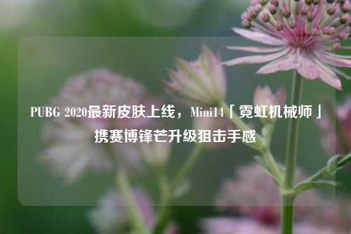 PUBG 2020最新皮肤上线，Mini14「霓虹机械师」携赛博锋芒升级狙击手感