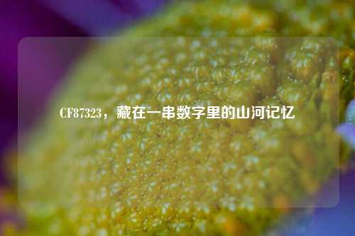 CF87323，藏在一串数字里的山河记忆