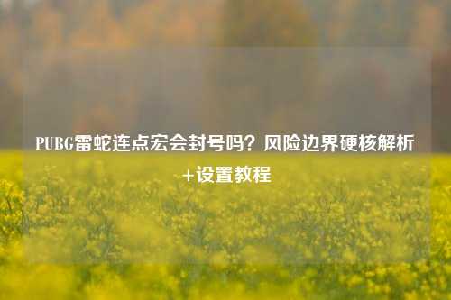 PUBG雷蛇连点宏会封号吗？风险边界硬核解析+设置教程