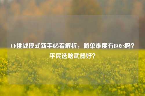 CF挑战模式新手必看解析，简单难度有BOSS吗？平民选啥武器好？