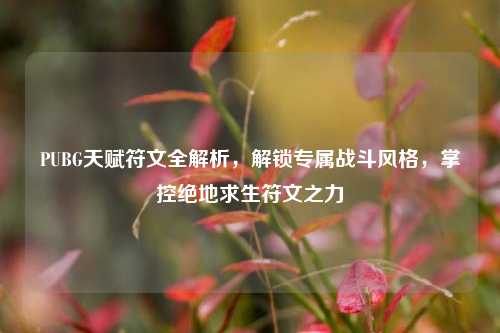 PUBG天赋符文全解析，解锁专属战斗风格，掌控绝地求生符文之力
