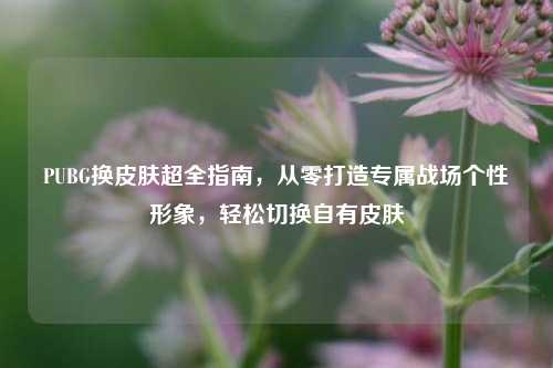 PUBG换皮肤超全指南，从零打造专属战场个性形象，轻松切换自有皮肤