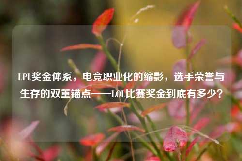 LPL奖金体系，电竞职业化的缩影，选手荣誉与生存的双重锚点——LOL比赛奖金到底有多少？
