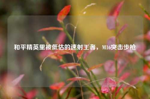 和平精英里被低估的速射王者,M16突击步枪