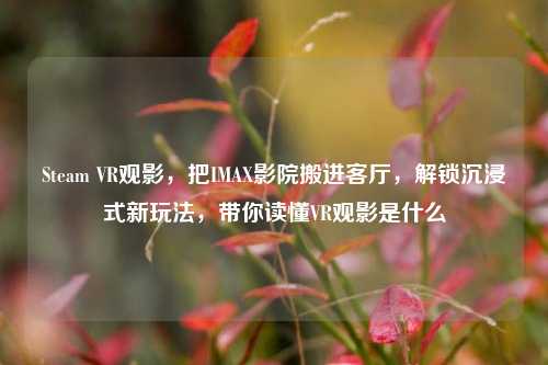Steam VR观影，把IMAX影院搬进客厅，解锁沉浸式新玩法，带你读懂VR观影是什么