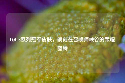 LOL S系列冠军皮肤，镌刻在召唤师峡谷的荣耀图腾