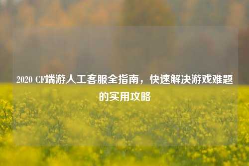2020 CF端游人工     全指南，快速解决游戏难题的实用攻略