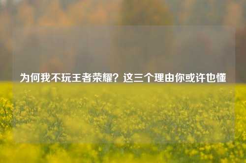 为何我不玩王者荣耀?这三个理由你或许也懂