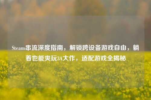 Steam串流深度指南,解锁跨设备游戏自由,躺着也能爽玩3A大作,适配游戏全揭秘