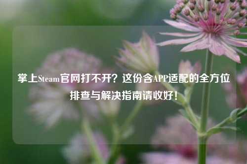掌上Steam官网打不开？这份含APP适配的全方位排查与解决指南请收好！