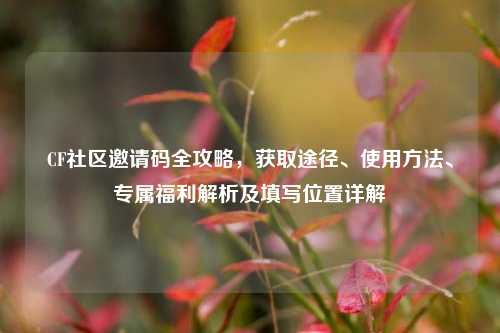 CF社区邀请码全攻略，获取途径、使用方法、专属福利解析及填写位置详解