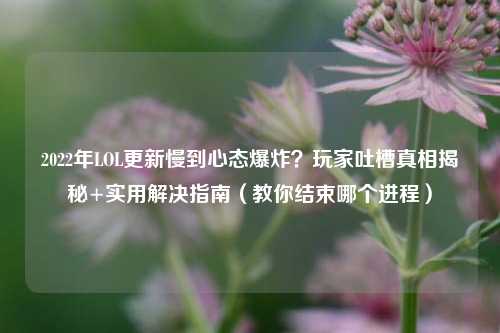 2022年LOL更新慢到心态爆炸?玩家吐槽真相揭秘+实用解决指南(教你结束哪个进程)