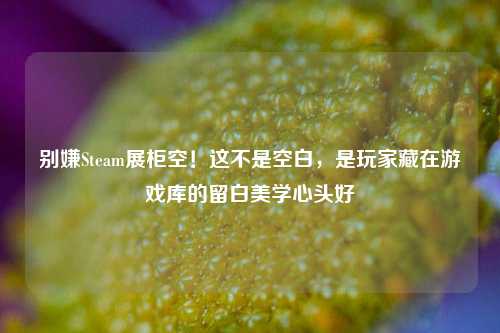 别嫌Steam展柜空!这不是空白,是玩家藏在游戏库的留白美学心头好
