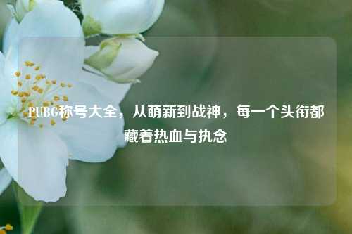 PUBG称号大全,从萌新到战神,每一个头衔都藏着热血与执念