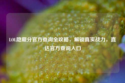 LOL隐藏分官方查询全攻略，解锁真实战力，直达官方查询入口