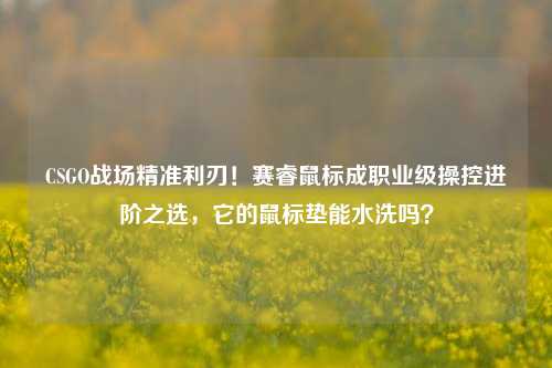 CSGO战场精准利刃！赛睿鼠标成职业级操控进阶之选，它的鼠标垫能水洗吗？