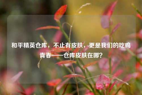 和平精英仓库,不止有皮肤,更是我们的吃鸡青春——仓库皮肤在哪?