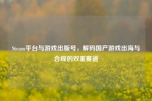 Steam平台与游戏出版号，解码国产游戏出海与合规的双重赛道