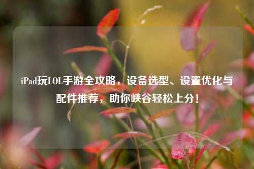 iPad玩LOL手游全攻略,设备选型、设置优化与配件推荐,助你峡谷轻松上分!