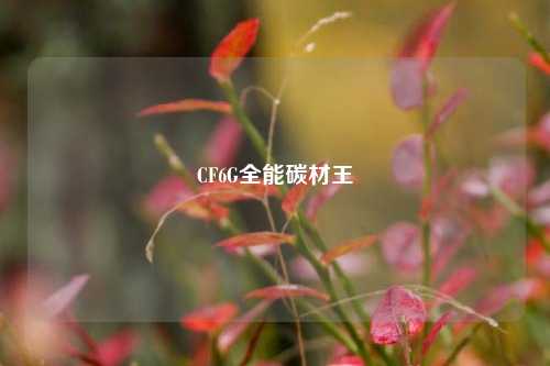 CF6G全能碳材王