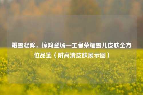 霜雪凝眸，惊鸿登场—王者荣耀雪儿皮肤全方位品鉴（附高清皮肤展示图）
