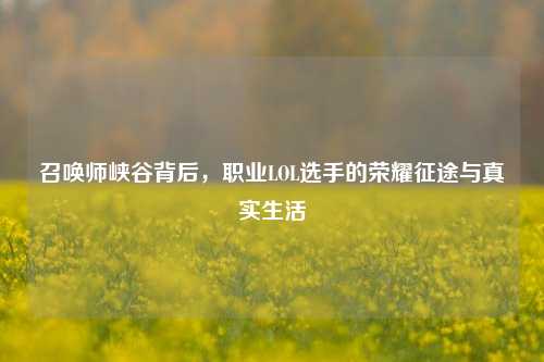 召唤师峡谷背后，职业LOL选手的荣耀征途与真实生活