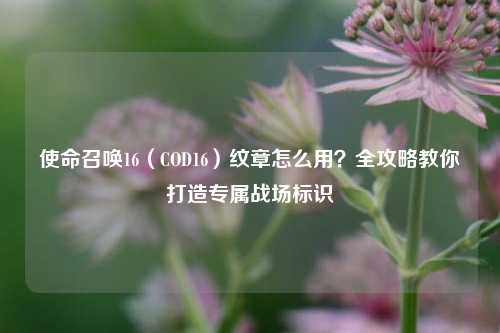 使命召唤16（COD16）纹章怎么用？全攻略教你打造专属战场标识