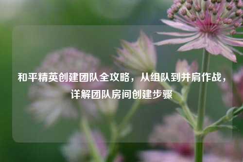 和平精英创建团队全攻略,从组队到并肩作战,详解团队房间创建步骤